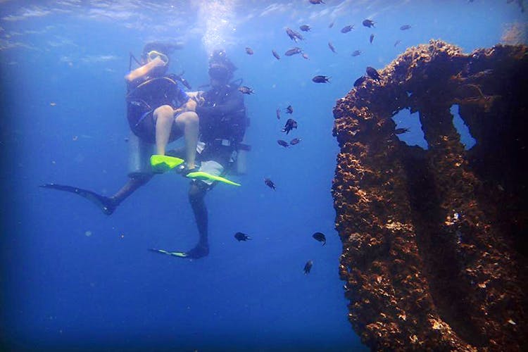 Water,Underwater,Organism,Recreation,Sea,Marine biology,Underwater diving,Ocean,Scuba diving,Diving