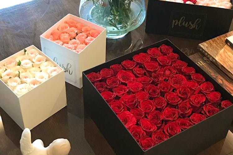 plush roses