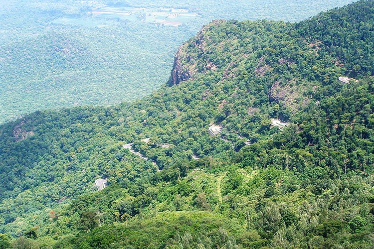 Road Trip To Yercaud The Next Trip Lbb Bangalore