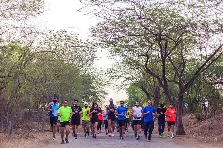 Outdoor recreation,Long-distance running,Running,Ultramarathon,Recreation,Trail,Marathon,Sports,Tree,Individual sports