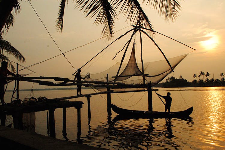 Water,Sky,Sunset,Morning,Hammock,Tree,Tropics,Evening,Reflection,Afterglow