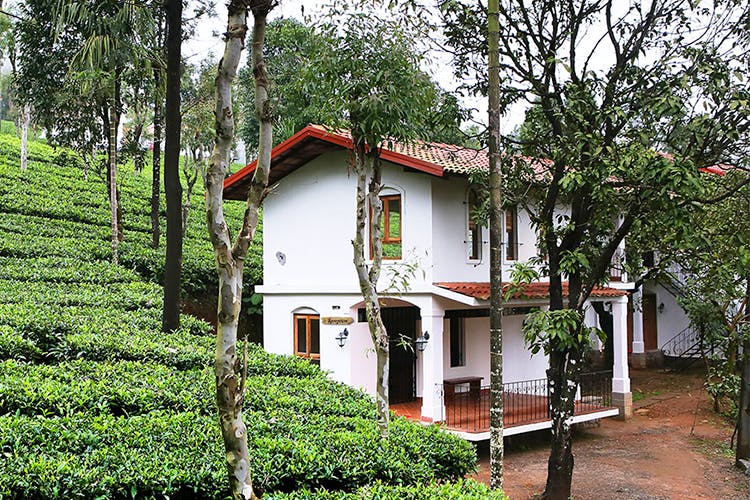 Tea Terrace Vythiri LBB, Bangalore