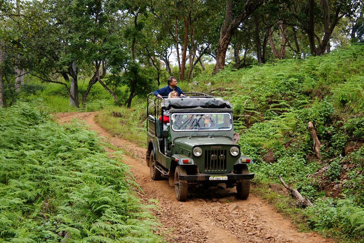 Off-roading,Vehicle,Off-road vehicle,Jungle,Car,Dirt road,Mode of transport,Trail,Forest,Jeep