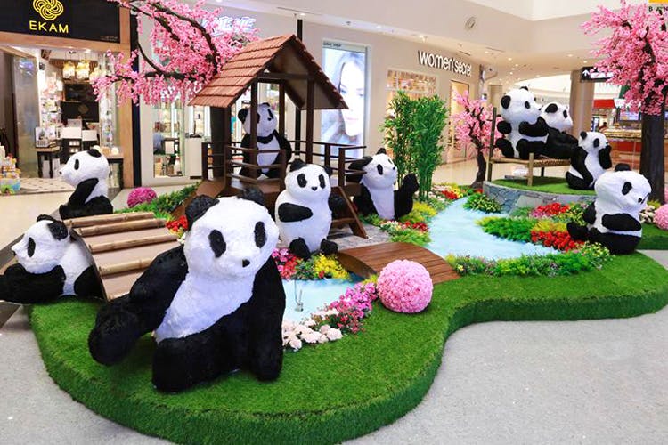 Panda,Bear,Grass,Fur,Plant,Floristry,Leisure,Carnivore,Toy,Teddy bear