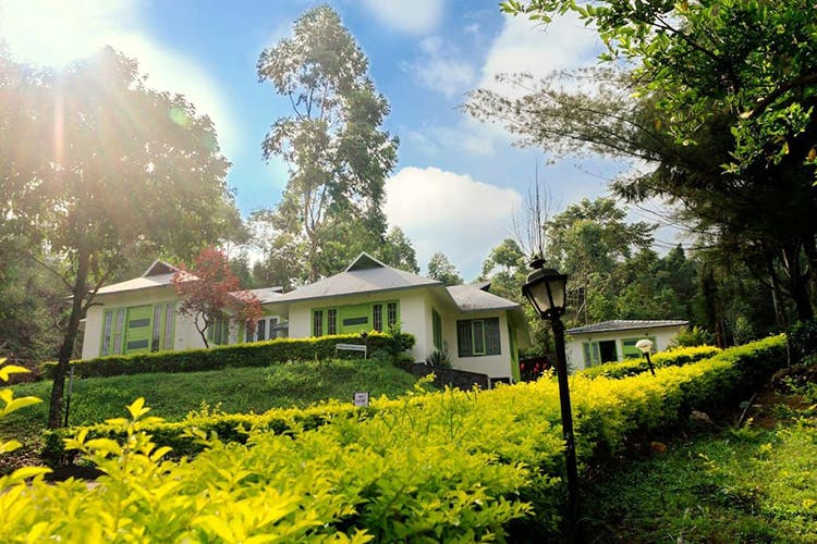 Nature,Natural landscape,Vegetation,House,Property,Green,Sky,Tree,Yellow,Real estate