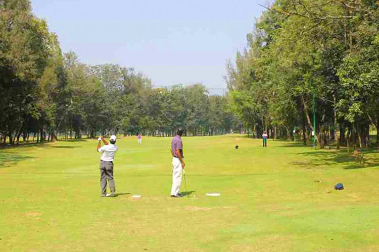 Sport venue,Golfer,Golf course,Golf club,Recreation,Golf equipment,Pitch and putt,Land lot,Professional golfer,Grassland