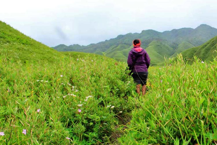 People in nature,Grassland,Mountainous landforms,Vegetation,Mountain,Natural landscape,Grass,Wilderness,Hill station,Grass family