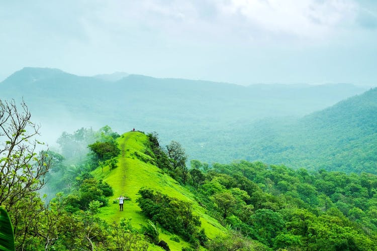 Green,Hill station,Nature,Vegetation,Mountainous landforms,Natural landscape,Highland,Mountain,Hill,Sky