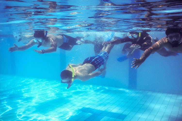 Swimming,Water,Recreation,Underwater diving,Underwater,Snorkeling,Swimfin,Swimming pool,Individual sports,Diving equipment