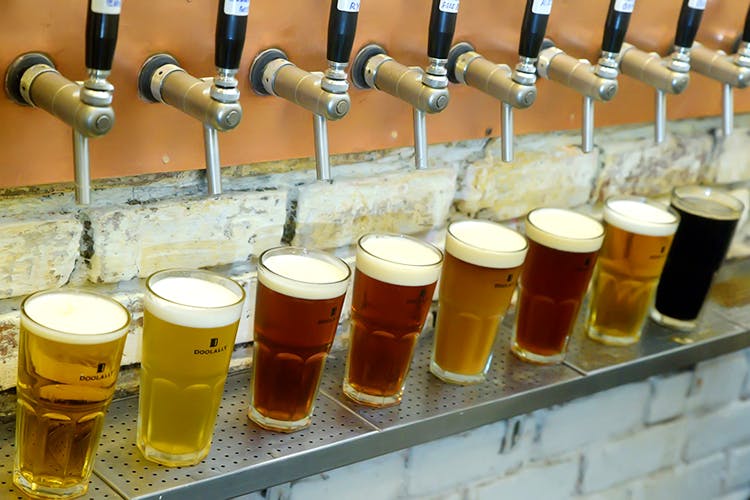 Beer,Drink,Beer glass,Bia hơi,Lager,Wheat beer,Alcoholic beverage,Honey,Liqueur,Distilled beverage