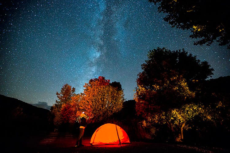 Sky,Night,Tent,Camping,Light,Tree,Star,Landscape,Campfire,Astronomical object