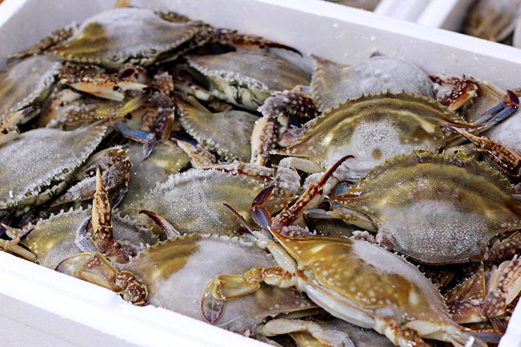 Rock crab,Crab,Food,Seafood,Oyster,Dungeness crab,Soft-shell crab,Delicacy,Decapoda,Dish