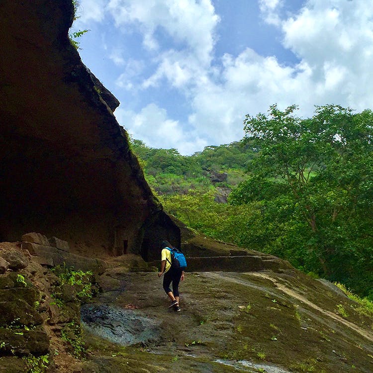 Nature reserve,Wilderness,Trail,Rock,Biome,Adventure,Tree,Formation,Geological phenomenon,Recreation