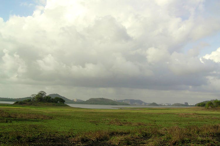 Sky,Natural landscape,Cloud,Nature,Grassland,Plain,Green,Natural environment,Pasture,Atmospheric phenomenon