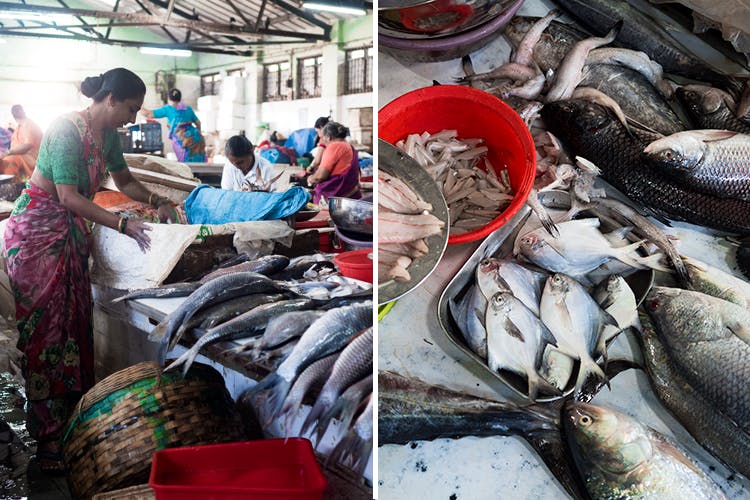 Fish,Fish products,Seafood,Fish