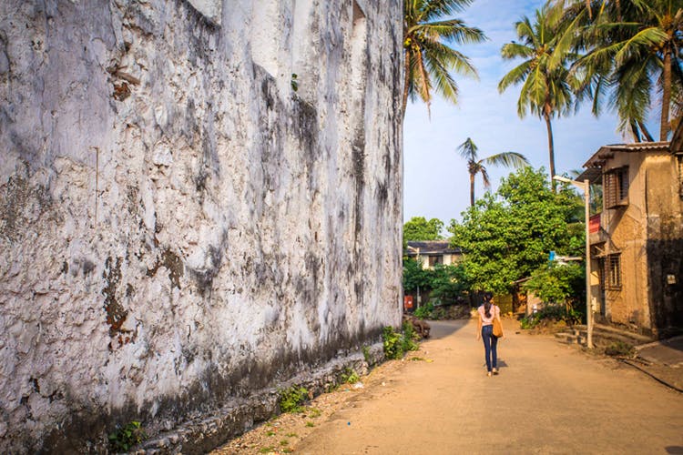 Wall,Tree,Town,Palm tree,Street,Road,Woody plant,Architecture,Vacation,Infrastructure