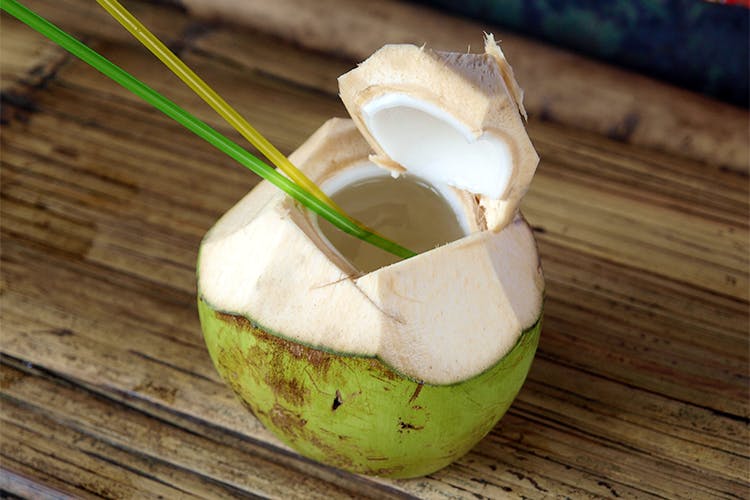 Coconut,Coconut water,Juice,Ingredient,Drink,Food,Nepenthes