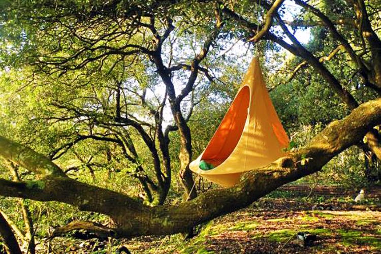 Hammocks In The Trees, Bonfires And Live Music At This Magical Camping ...