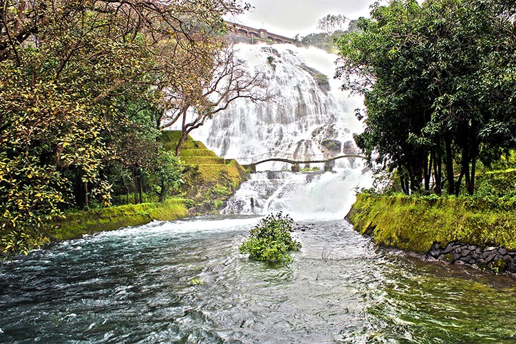 Body of water,Water resources,Natural landscape,Nature,Water,Watercourse,River,Vegetation,Nature reserve,Stream