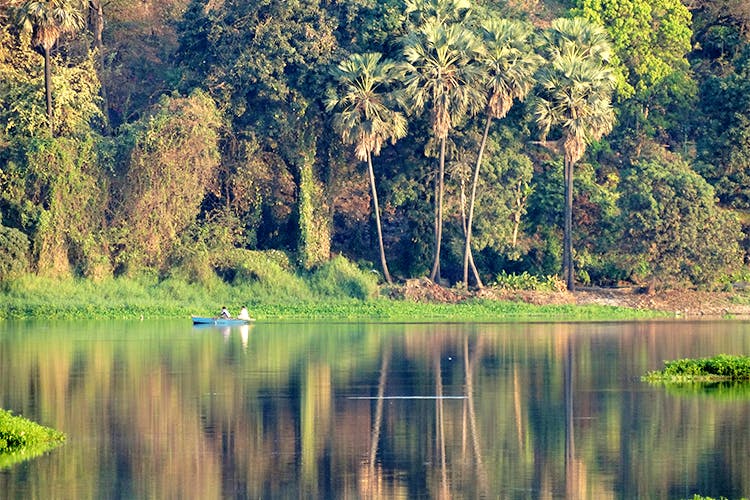 Natural landscape,Body of water,Nature,Reflection,Water,Vegetation,Tree,Natural environment,Nature reserve,Lake