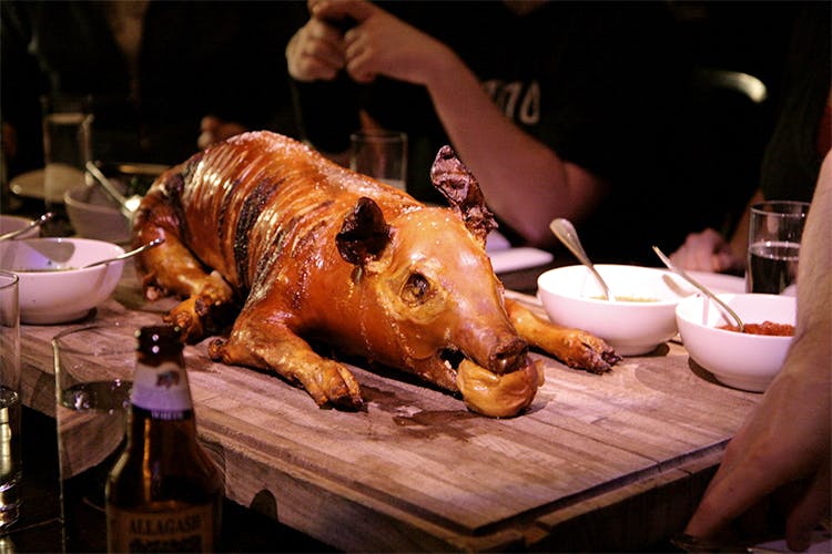 Suckling pig,Lechon,Pig roast,Lechona,Food,Hornado,Dish,Roasting,Siu mei,Meat