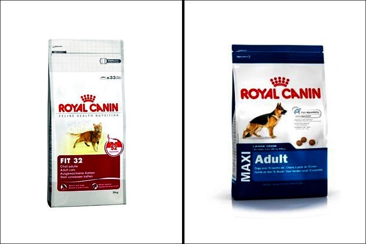 Pet food,Canidae,Dog,Dog food,Dog breed,Puppy,Cat,Pet vitamins & supplements,Carnivore,Kitten