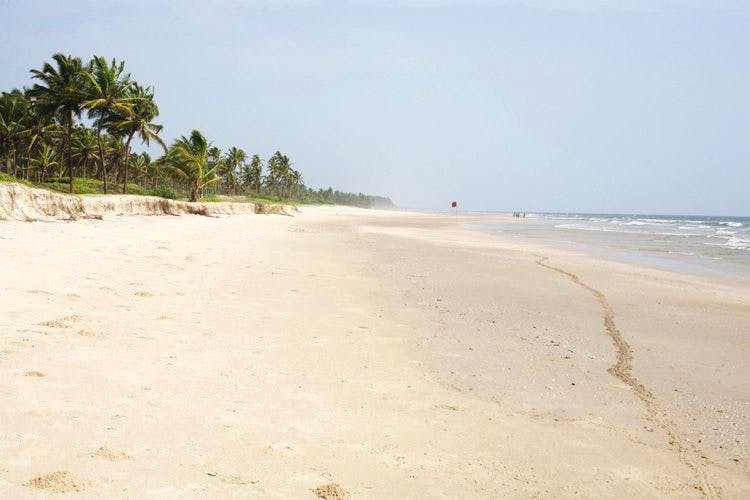 Beach,Sand,Shore,Sea,Vacation,Tree,Coast,Ocean,Palm tree,Tropics