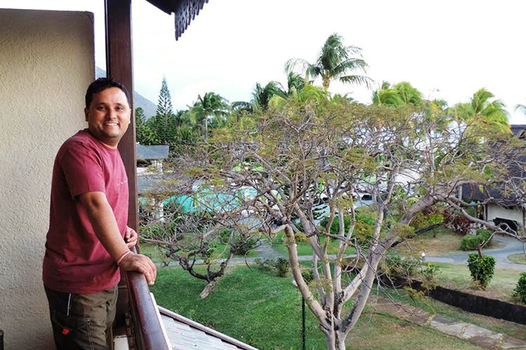 Tree,Botany,Plant,Vacation,Adaptation,Flower,Leisure,Tourism