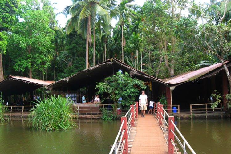 Homemade Feni, Elephant Baths & Spice Plantations Find This Hidden Gem