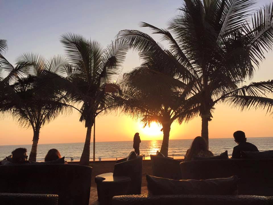 Sky,Tree,Palm tree,Sunset,Arecales,Tropics,Vacation,Woody plant,Morning,Evening