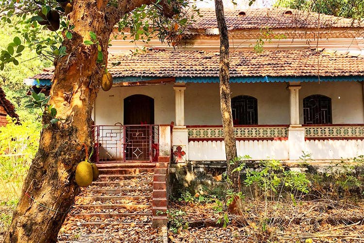 House,Property,Yellow,Building,Tree,Home,Architecture,Rural area,Real estate,Cottage