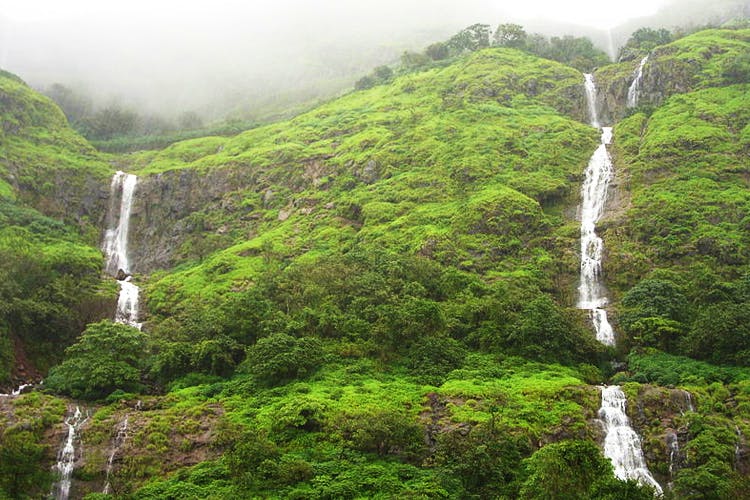 Waterfall,Water resources,Natural landscape,Nature,Water,Hill station,Nature reserve,Vegetation,Watercourse,Rainforest