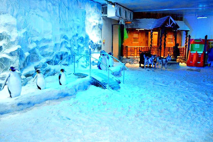 Winter,Snow,Fun,Leisure,Ice hotel,Arctic,Freezing,Ice,Glacial landform