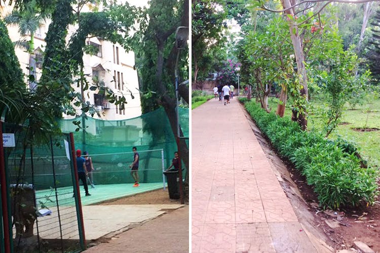 Tree,Public space,Botany,Walkway,Sidewalk,Adaptation,Architecture,Plant,City,Leisure
