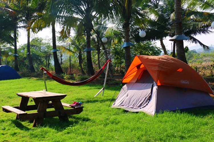 Camping,Tent,Leisure,Tree,Grass,Jungle,Recreation,Backyard,Vacation,Camp