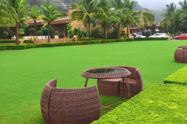 Grass,Lawn,Artificial turf,Wicker,Tire,Leisure,Grass family,Plant,Backyard,Tree