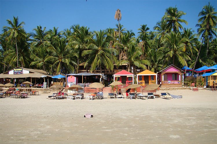 Beach,Vacation,Palm tree,Sand,Tree,Tropics,Tourism,Arecales,Resort,Caribbean