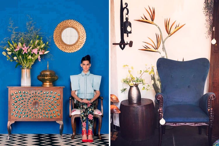 Blue,Majorelle blue,Room,Cobalt blue,Interior design,Turquoise,Furniture,Houseplant,Plant,Floral design
