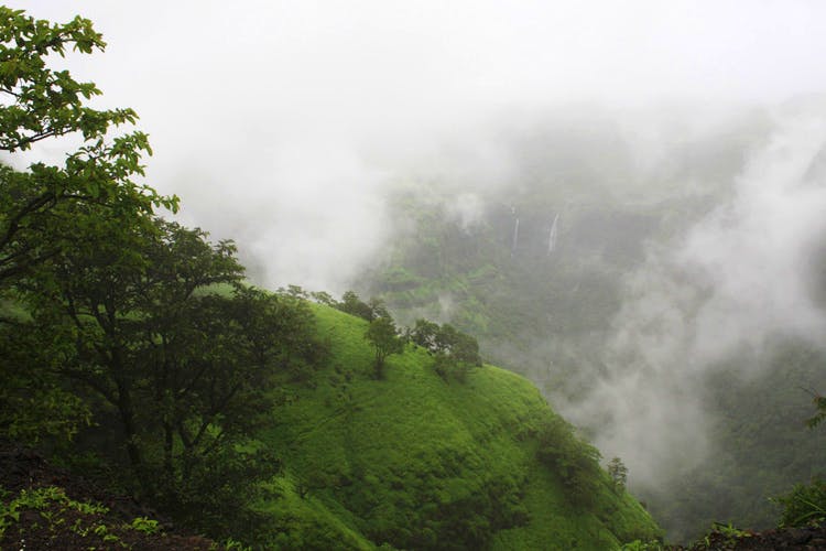 Mist,Atmospheric phenomenon,Fog,Hill station,Nature,Vegetation,Highland,Sky,Haze,Forest