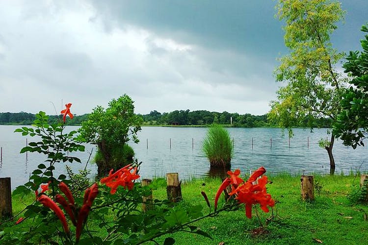 Nature,Natural landscape,Vegetation,Red,Lake,Natural environment,Nature reserve,Flower,Plant,Tree