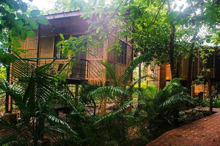 Best Tree House Resorts Near Mumbai I LBB, Mumbai