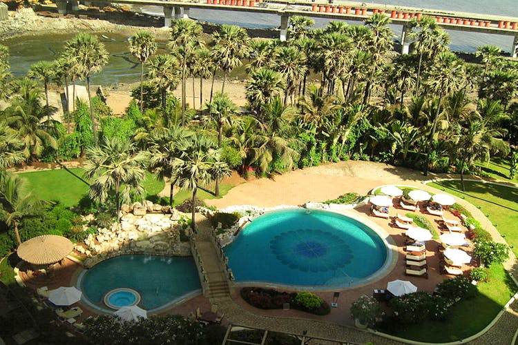 Swimming pool,Water,Botany,Leisure,Resort,Landscape,Real estate,Vacation,House,Backyard