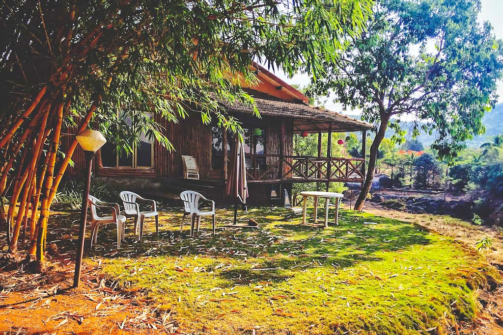 Nature,Tree,House,Property,Yellow,Home,Building,Architecture,Grass,Rural area