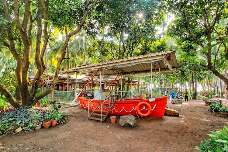 Transport,Tree,Mode of transport,Leisure,Botany,Jungle,Vehicle,Tourism,Rural area,Adaptation