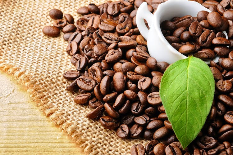 Caffeine,Single-origin coffee,Kona coffee,Kapeng barako,Java coffee,Jamaican blue mountain coffee,Brown,Food,Superfood,Cocoa bean