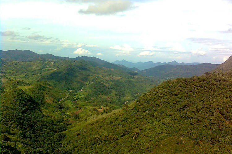 Aruku Valley Lbb