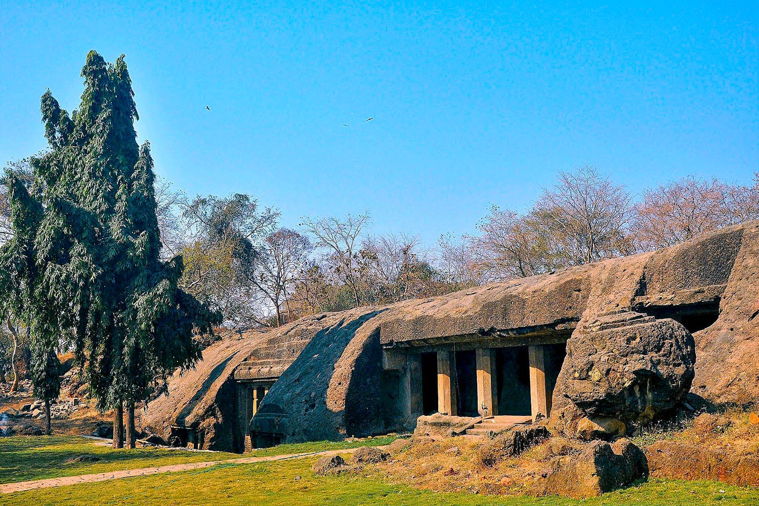 Ancient history,Tree,Ruins,Architecture,Historic site,House,Rural area,Rock,Building,Grass