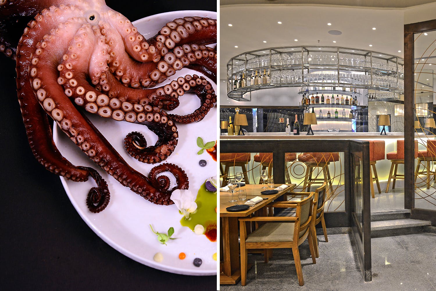 Octopus,Cephalopod,Organism,Marine invertebrates,giant pacific octopus,Interior design,Metal