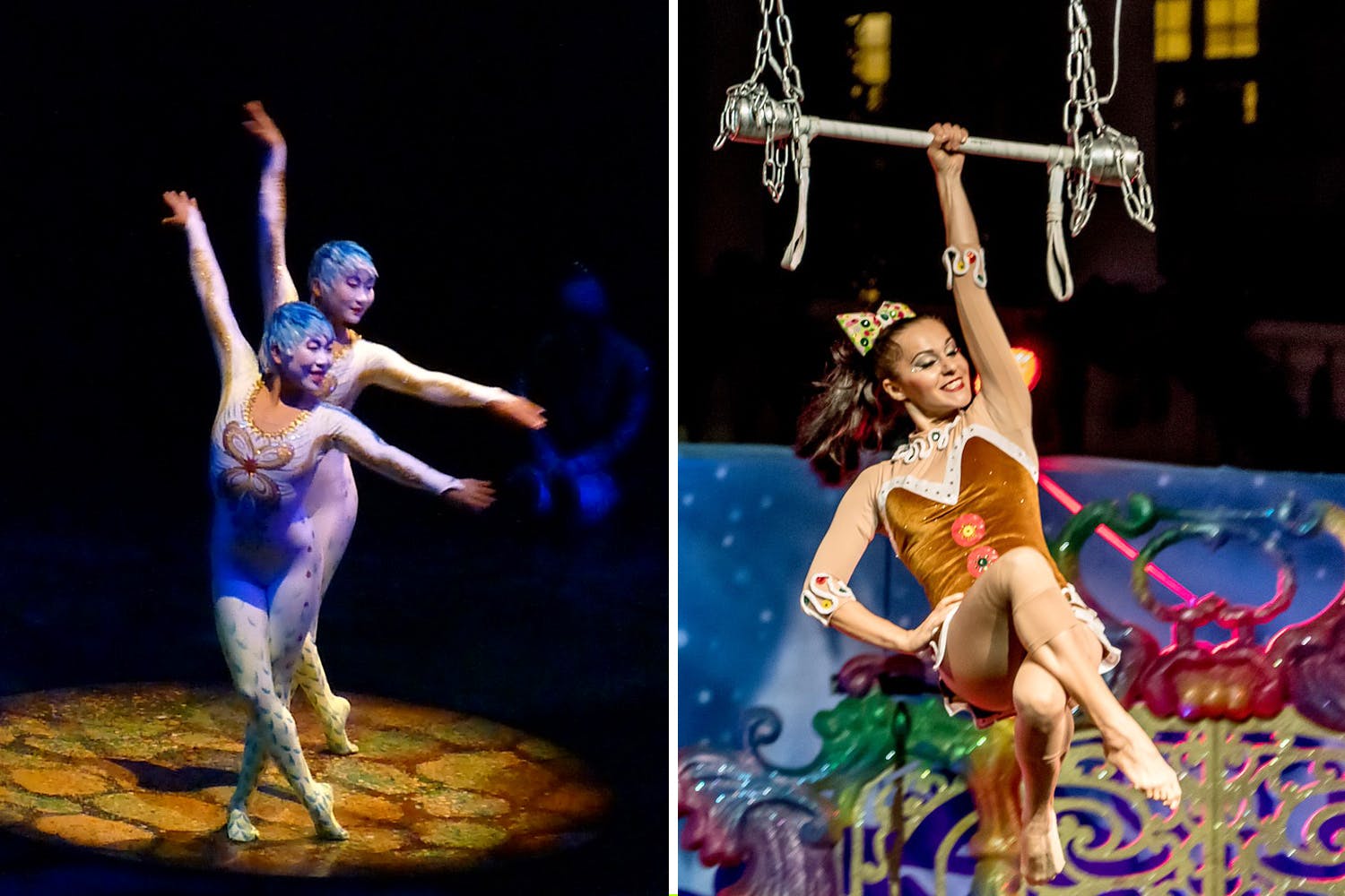 Performance,Performing arts,Entertainment,Dancer,Circus,Event,Acrobatics,Performance art,Dance,Public event