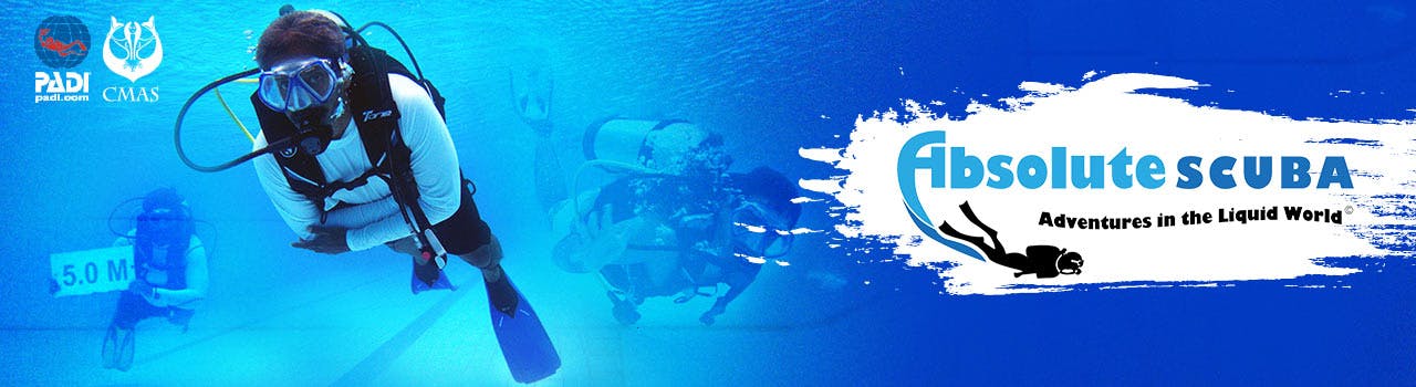 Blue,Scuba diving,Divemaster,Underwater diving,Water,Recreation,Diving equipment,Underwater,Dry suit,Aquanaut